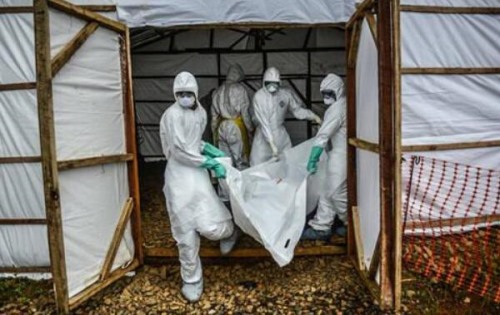 埃博拉病毒僵尸怎么回事 发病像僵尸撕咬人类和动物