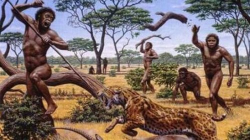 远古恐猫是人类祖先天敌 对南方古猿有致命的危险