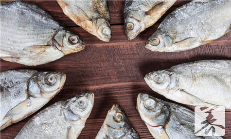 鱼类脂肪含量排行