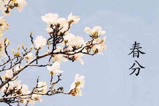 关于描写春分时节的诗有哪些?