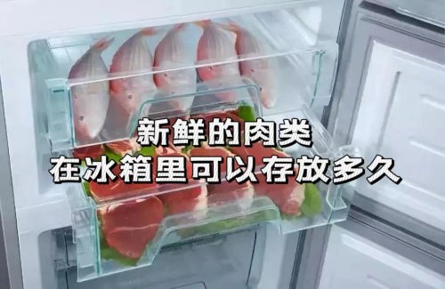 新鲜肉类能在冰箱存放多久肉类如何存放更安全