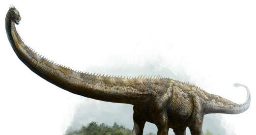 地球史上最大的恐龙 易碎双腔龙(长达50米/重100吨)
