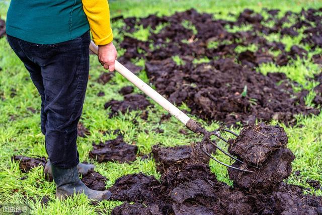 从8个维度修复土壤，让土壤恢复肥沃，种出好产量（从8个维度修复土壤）(3)