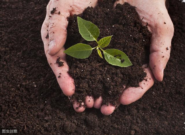 从8个维度修复土壤，让土壤恢复肥沃，种出好产量（从8个维度修复土壤）(4)