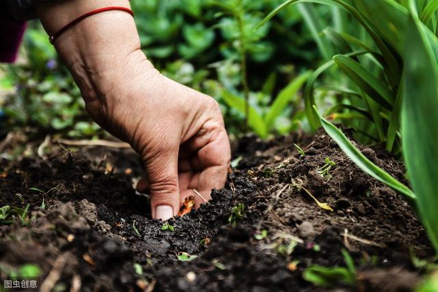 从8个维度修复土壤，让土壤恢复肥沃，种出好产量（从8个维度修复土壤）(5)