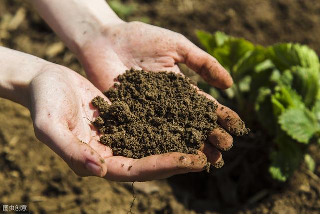 从8个维度修复土壤，让土壤恢复肥沃，种出好产量（从8个维度修复土壤）(6)