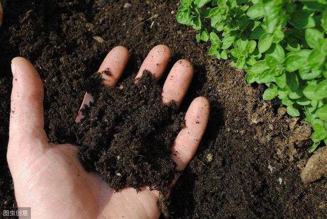 从8个维度修复土壤，让土壤恢复肥沃，种出好产量（从8个维度修复土壤）(8)