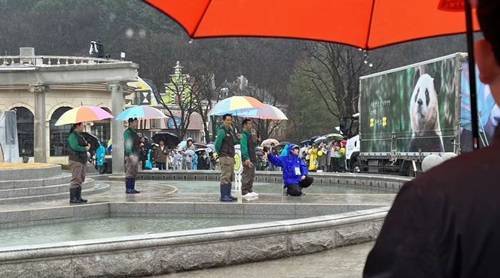 韩国民众雨中送福宝视频截图