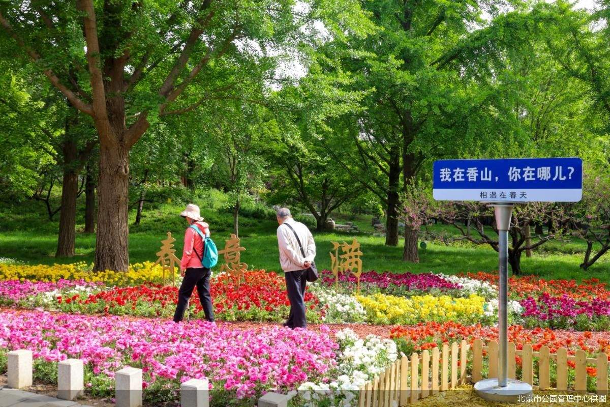 北京市公园管理中心供图